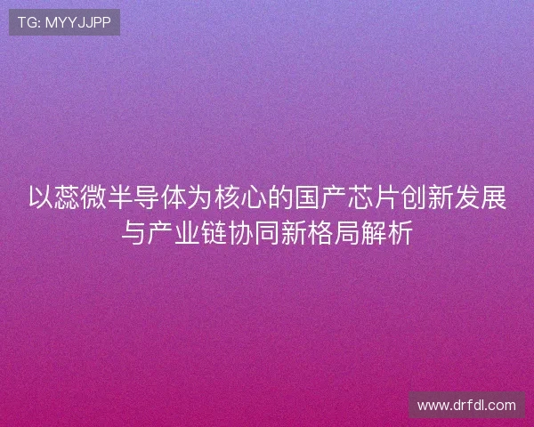 以蕊微半导体为核心的国产芯片创新发展与产业链协同新格局解析